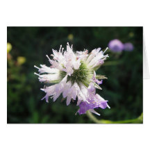 Grusskarte lila Blüte, blanko, gestaltbar