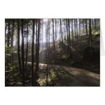Grusskarte Sonnenstrahlen