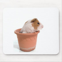 guinea pigs in an flowerpot mousepads