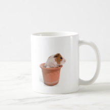 guinea pigs in an flowerpot teehaferl