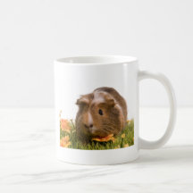 guinea pigs man hat lawn teetasse