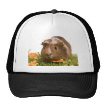guinea pigs man hat lawn trucker mützen