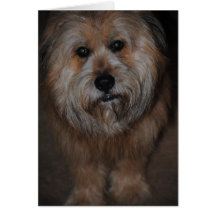 Haarige Hundegeburtstags-Karte