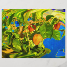 Habanero-Paprikaschoten auf Trippy Foto der Pflanz Individuelle Flyer