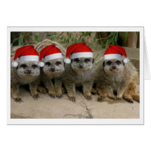 Haben Sie ein Meerkat Weihnachten! Karten
