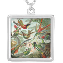 Haeckel Humminbird Halskette