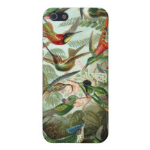 Haeckel Kolibris iPhone 5 Hüllen