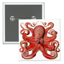Haeckel Kraken-Rot Button