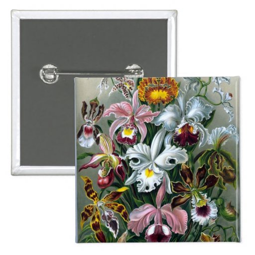 Haeckel Orchideen-Studien-Illustrations-Knopf Button