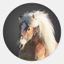 Haflinger Pferd mit der schönen Mähne Runde Sticker