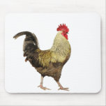 Hahn-EIN-Gekritzel-Doo Mousepad