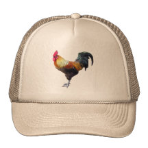 Hahnebene Baseballkappe