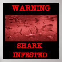 HAIFISCH GEPLAGT POSTERDRUCK