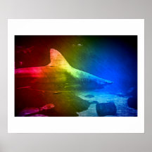 Haifisch in der Farbe! Posterdrucke