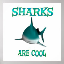 Haifische sind cool plakat