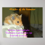 Haiku des Hamsters 1 Plakate