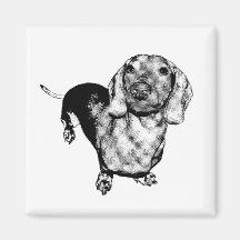 Halbtonschwarzweiss-Fotodachsund-Dackel Magnete