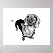Halbtonschwarzweiss-Fotodachsund-Dackel Plakatdruck
