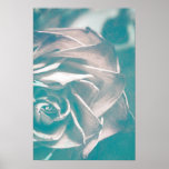 Halfe Rose Plakatdruck