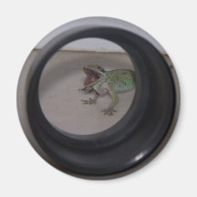 Hallo kleines magnete