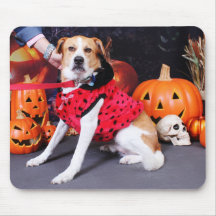 Halloween - Beagle Labrador X - Jakob Mauspads
