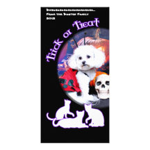 Halloween - Bichon Frise - Mia Bilderkarten