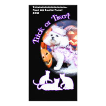 Halloween - Bichon Frise - Mia Personalisierte Photo Karte