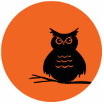 Halloween-Eule Photoausschnitt