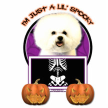 Halloween - gerade ein Lil gespenstisch - Bichon F Photo Statue