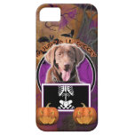 Halloween - gerade ein Lil gespenstisch - Labrador Schutzhülle Fürs iPhone 5