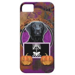 Halloween - gerade ein Lil gespenstisch - Labrador iPhone 5 Etuis