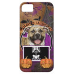 Halloween - gerade ein Lil gespenstisch - Pitbull  iPhone 5 Hüllen