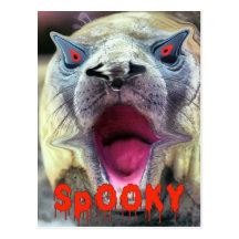 Halloween-Postkarte