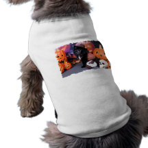 Halloween - Spitz - Cody Haustierkleidung