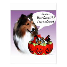 Halloween-Süßigkeit die Shetlandinseln-Schäferhund Postkarten