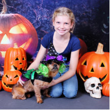 Halloween - YorkiePekeX - Clara Foto Skulptur