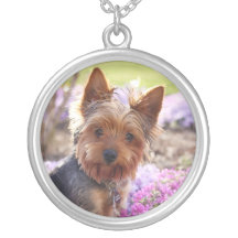 Halskette Yorkshires Terrier