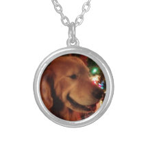 Halten Sie Hund Jonas u. Weihnachtsbaum-Lichter in Schmuck