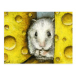 Hamster auf einer Käseregalpostkarte durch Tanya-B