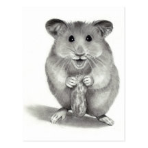HAMSTER MIT ERDNUSS, BLEISTIFT-KUNST POSTKARTE