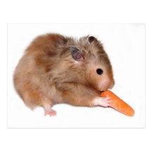Hamsterdiätkarte Postkarten