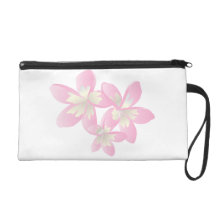 Hanauma Bucht-Hawaiiplumeria-Blume