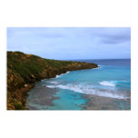 hanauma Bucht Oahu poster