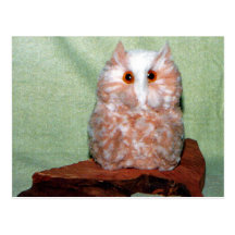 Handcrafted Eulen-Postkarte