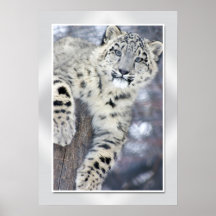 Hangin um….(w/border) posterdrucke