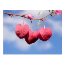 Hanging_hearts Blumenpostkarte