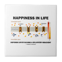 Happiness In Life Depends Upon Having Balanced Ceramic Tile