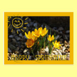 Happy Springtime postkarten