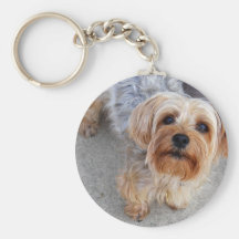 Happy Yorkie Puppy Key Chain