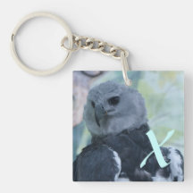 Harpy Eagle Schlüsselanhängern